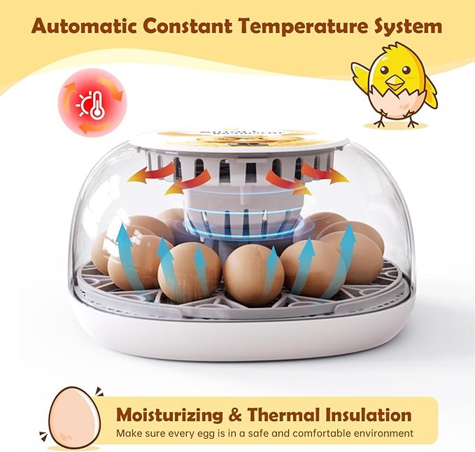 Egg Incubator for Hatching Chicks, Automatic Egg Turner Holds 12 Eggs, Smart Incubator 360° Clear Window with Temperature Display Egg Candler for Small Poultry Chickens Ducks Quails Eggs - Image 2