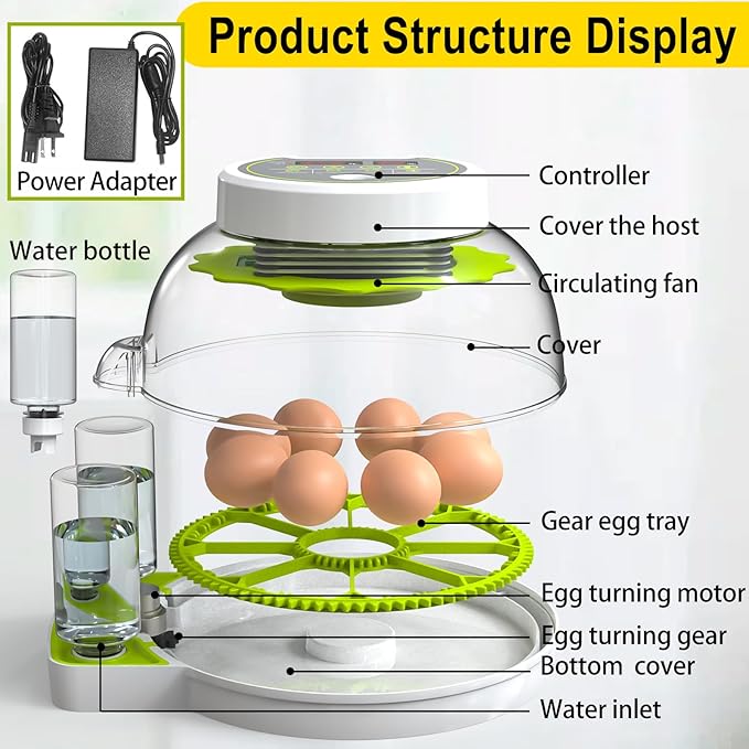 18/60 Egg Incubator with Humidity Display, Incubators for Hatching Eggs, Egg Candler, Automatic Egg Turner, Poultry Egg Incubator for Hatching Chicken Duck Goose Bird Quails- Green - Image 7