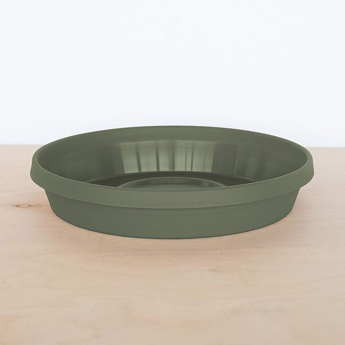 Bloem Terra Resin Saucer Tray: 11.25" Bottom Width - Matte, Durable, Ribbed Bottom, Indoor and Outdoor, Fits 14" Terra Pots, Living Green - Image 6