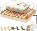 Incubator for Hatching Eggs, 56 Eggs Incubator with Automatic Egg Turning, Temperature & Humidity Control, LED Egg Candler, Incubation Days Display, for Chicken, Duck, Goose, Quail, Parrot Bird Eggs by WONEGG