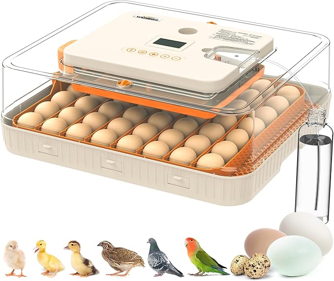 Incubator for Hatching Eggs, 56 Eggs Incubator with Automatic Egg Turning, Temperature & Humidity Control, LED Egg Candler, Incubation Days Display, for Chicken, Duck, Goose, Quail, Parrot Bird Eggs by WONEGG