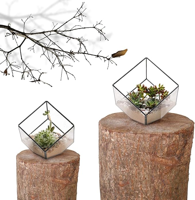 ELEGANTLIFE Glass Geometric Plant Terrarium Container, Flower Pot Tabletop Planter Decor Glass Display Box Succulent & Air Planter for Home Garden Office Decoration(Black Cubic Set of 2) - Image 2