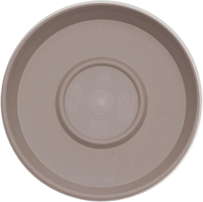 Bloem Terra Resin Saucer Tray: 4.75" Bottom Width - Pebble Stone Beige - Matte, Durable, Ribbed Bottom, Indoor and Outdoor, Fits 6" Terra Pots - Image 5