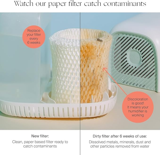 Canopy Original Bedside Humidifier Filters, Pack of 3 Filters, Replacement Filters - Compatible with Canopy Bedside Humidifiers, Made with Wood Pulp, Paper Filter, Replace Every Six Weeks - Image 3