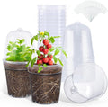 homenote Clear Nursery Pots for Plants,5 Inch Plant Pot for Planting with Humidity Domes Plastic Seedling with Drainage Holes Seed Starter Flower High Transparency (15 Pack) by HOMENOTE