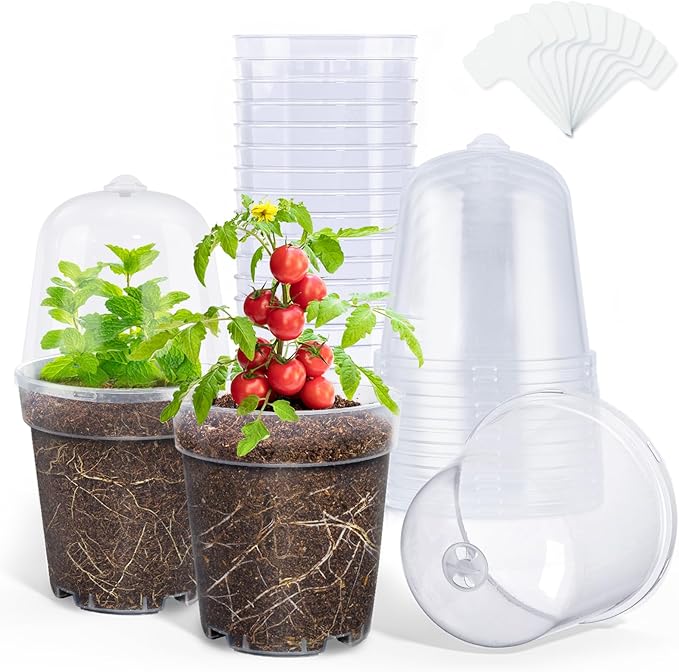 homenote Clear Nursery Pots for Plants,5 Inch Plant Pot for Planting with Humidity Domes Plastic Seedling with Drainage Holes Seed Starter Flower High Transparency (15 Pack) by HOMENOTE