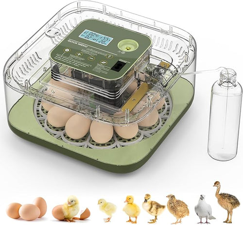 12 Egg Incubator with Automatic Turning, Auto Water Refill & Temp/Humidity Control, Plus Hatching Guide, Digital Hatcher for Chicken, Duck, Quail, Pigeon Eggs & More by Unknown