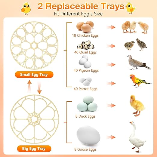 18 Egg Incubator with Automatic Egg Turning and Humidity Control, Eggs Incubators for Hatching Eggs Chicken Quail Ducks Goose Parrot for Home Classroom Lab Farm - Image 8