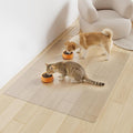 3'×4' Frosted Clear Waterproof Area Mat for Hard Floor, No Scratches Plastic Floor Mat for Litter Boxes, Spill-Resistant Easy Cleaning Floor Protector for Under Refrigerator, Plant Pots by Unknown