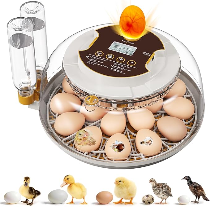 18 Egg Incubator with Automatic Egg Turning & Humidity Control, Built-in Egg Candler, 360° View Window & Dual-Size Trays for Chicken, Duck, Quail, Goose Eggs – Ideal for Farm, Classroom, Home by MQUPIN