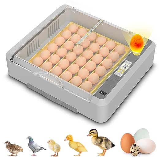 36-60 Egg Incubator with Automatic Egg Turning and Humidity Control, Adjustable Chicken Egg Incubator with Digital Display, for Hatching Eggs Include Chicken Duck Quail Eggs(Yellow) by Innvello