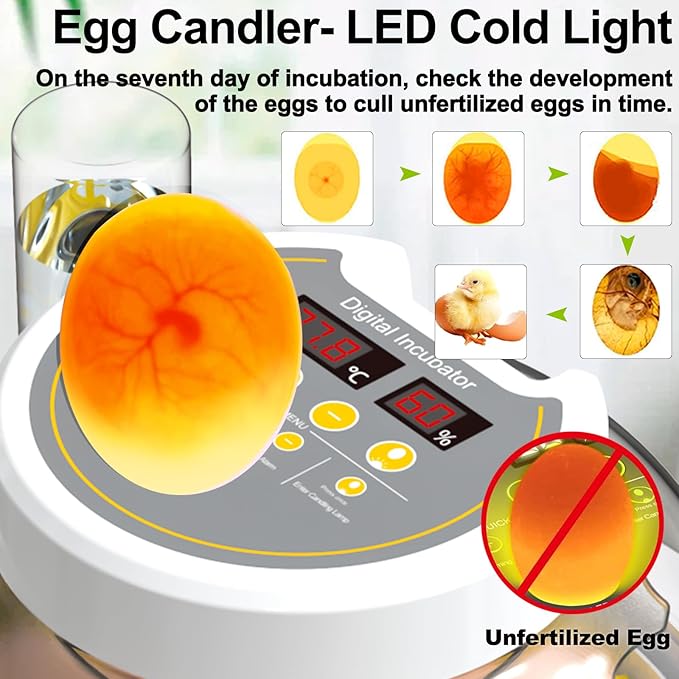 18/60 Incubator for Hatching Eggs, Egg Incubators with Humidity Display, Egg Candler, Automatic Egg Turner, Poultry Egg Incubator for Hatching Chicken Duck Goose Bird Quails- Yellow - Image 3