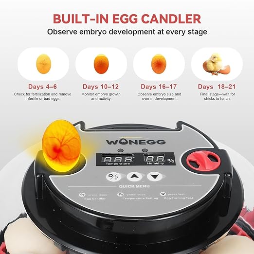 2nd Gen - 12 Egg Automatic Incubator, Two-Stage Humidity with Auto-Refill & Stable Temp Control, Auto Egg Turning, Candler, Real-Time Display for Hatching Chicken, Goose, Duck, Quail, Pigeon - Image 4