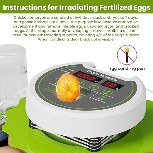 18-Egg Incubator incubators for Hatching Eggs with Automatic Egg Turning & Humidity Control, Transparent HD Panoramic Viewing & Candler Fertile for Farms, Science, classrooms, Homes Chickens Ducks - Image 4