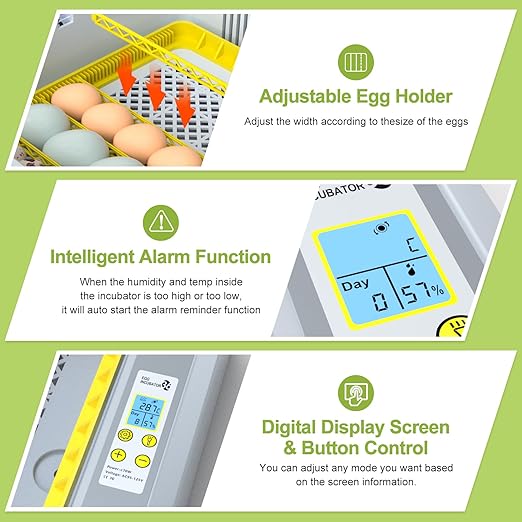 36 Eggs Incubator for Hatching Chicken/Goose/Quail/Duck/Turkey Eggs, 360° View Incubator with Automatic Egg Turning/Humidity Control/Low Humidity Alarm/Adjustable Tray, for Beginner/Farm/Teaching/Home - Image 3