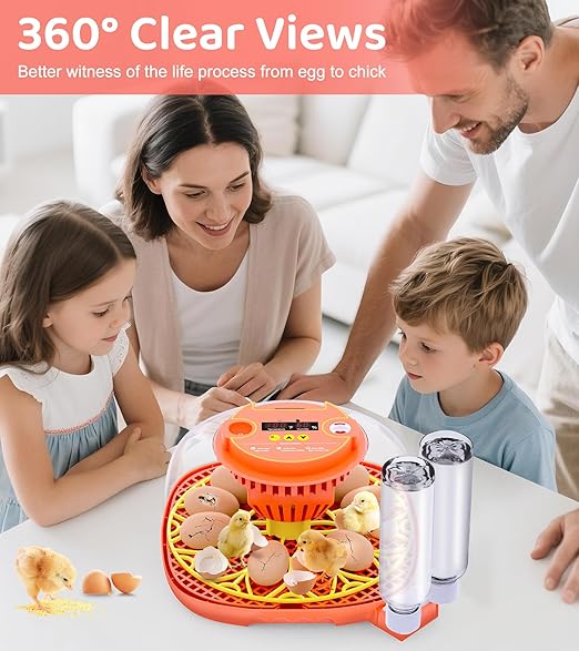 12 Egg Incubator for Hatching Eggs, Smart Temperature and Humidity Control, Automatic Egg Turning, Incubator for Hatching Chicken, Quail, Duck Eggs, 360° Clear View for Home, Classroom, Farm - Image 7