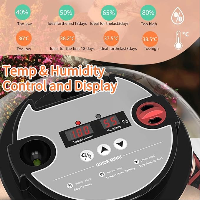 Egg Incubators for Hatching Eggs, Incubator for 12 Eggs Automatic Turning with Temperature Control+Humidity Display+Automatic Water Filling - Home Incubator for Quail Chicken Duck Pigeon - Image 5