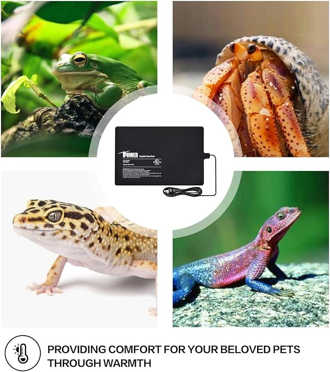 iPower 8"x12" Reptile Under Tank Heating Pad Heat Mat Terrarium Heater Warmer, Digital Thermometer and Hygrometer with Temperature and Humidity Probe for Amphibian Pet and Small Animals - Image 6