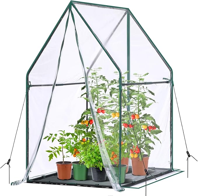 Mini Greenhouse for Indoor Outdoor: Ohuhu Portable Green House with Waterproof Pad for Small Plants Nursery Germination, 36"x36"x58.5" Heavy-Duty PVC Cover Tent Humidity Dome Seedling Accessory by Ohuhu