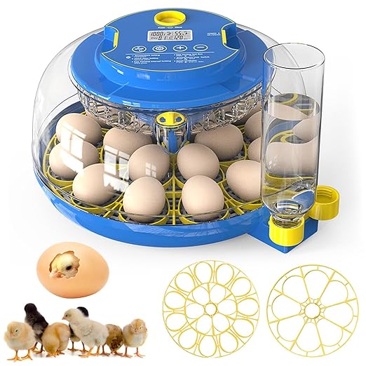 Incubators for Hatching Eggs, 18 Egg Incubator with Automatic Egg Turning and Humidity Control, 360° View Incubadora De Huevos De Gallina, Egg Candler, Incubator for Chicken Eggs, Ducks, Goose, Quail by Unknown