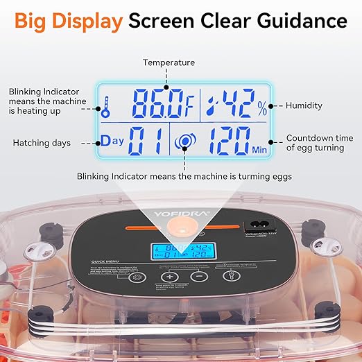 Incubators for Hatching Eggs, 24 Egg Incubator, Automatic Egg Turner with Humidity Control & Digital Temperature, Hatch Day, Auto Water Refill, 360°Viewing for Chicken, Duck, Quail, Duck, Goose - Image 6
