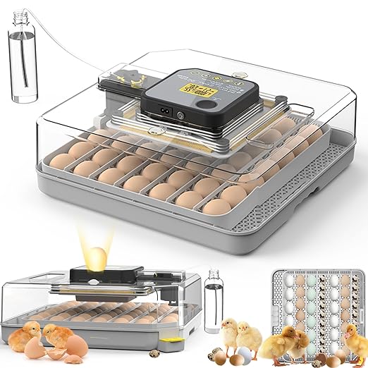Incubators for Hatching Eggs 48 Egg Incubator with Automatic Turning and Humidity Control for Chicken Duck, Egg Candler for Chicken Eggs Goose Incubator Duck Quail Chick for Hatching Poultry (Grey) by Unknown