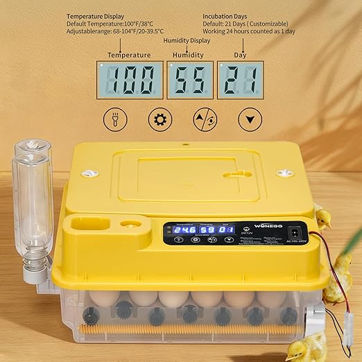Winado Incubators for Hatching Eggs, 30 Egg Incubator with Automatic Egg Turning, Temperature & Humidity Control, Egg Candler, Automatic Water Filling and Day Counter for Eggs Hatching - Image 7