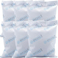 6Pcs 100 Gram Silica Gel Packets, White Dessicant Beads Packets for Storage, Pure and Safe Silica Gel Desiccant Packs, Moisture Absorber Silica Gel Beads Packs for Moisture Control by Wisesorb