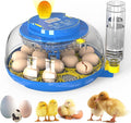 Egg Incubator for Hatching Chicks, 18 Eggs Automatic Egg Turner Multifunctional Smart Incubator 360° Clear Window with Temperature & Humidity Control, Egg Candler for Poultry Chickens Ducks Quails by SENXINGYAN