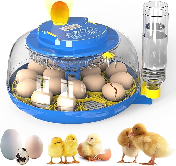 Egg Incubator for Hatching Chicks, 18 Eggs Automatic Egg Turner Multifunctional Smart Incubator 360° Clear Window with Temperature & Humidity Control, Egg Candler for Poultry Chickens Ducks Quails by SENXINGYAN