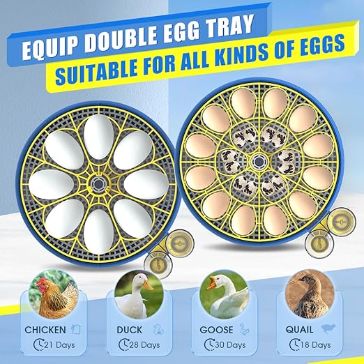 incubators for hatching eggs，18 Egg Incubator,egg incubator with automatic egg turning and humidity control，incubator for chicken eggs，chicken incubators for hatching eggs，quail egg incubator - Image 7