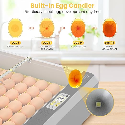 36-60 Egg Incubator with Automatic Egg Turning and Humidity Control, Adjustable Chicken Egg Incubator with Digital Display, for Hatching Eggs Include Chicken Duck Quail Eggs(Yellow) - Image 5
