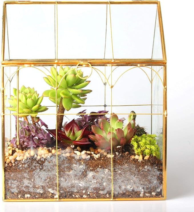 Glass Geometric Plant Terrarium,Succulent & Air Planter for Home Garden Office Decoration (Gold House) - Image 2
