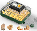 30 Egg Incubator for Hatching Eggs with Automatic Egg Turning, Temperature & Humidity Display, Hatch Day Countdown, Auto Water Refilling System, Egg Candler, Multifunctional Egg Tray for Chicken by DETODDA