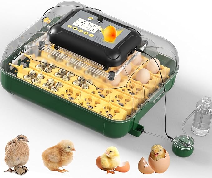 30 Egg Incubator for Hatching Eggs with Automatic Egg Turning, Temperature & Humidity Display, Hatch Day Countdown, Auto Water Refilling System, Egg Candler, Multifunctional Egg Tray for Chicken by DETODDA