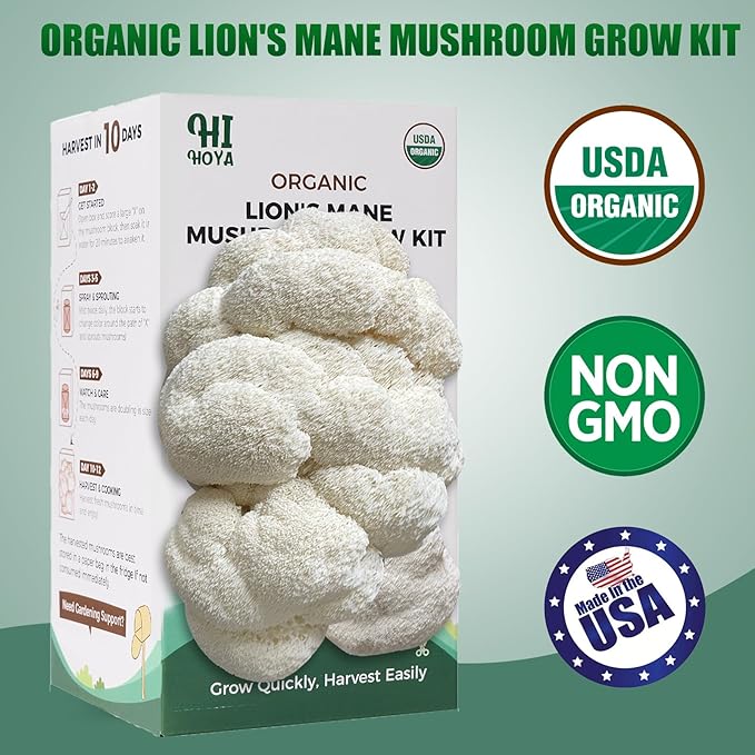 Large Organic Lion's Mane Mushroom Grow Kit with Spray & Accessories, Fresh Edible Mushroom Growing Kit Double-Sided Growable, USDA Certified, Non-GMO, Beginner Friendly, Indoor, Gardening Gift, USA - Image 2