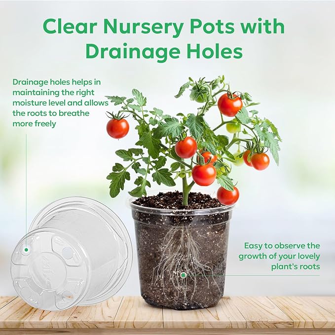 30 Packs 5 Inch Reinforced Clear Nursery Pots with Drainage Holes, Transparent Plastic Plant Pot Seedling Planter for Vegetable Propagation, Root Cutting, Seed Starting - Image 3