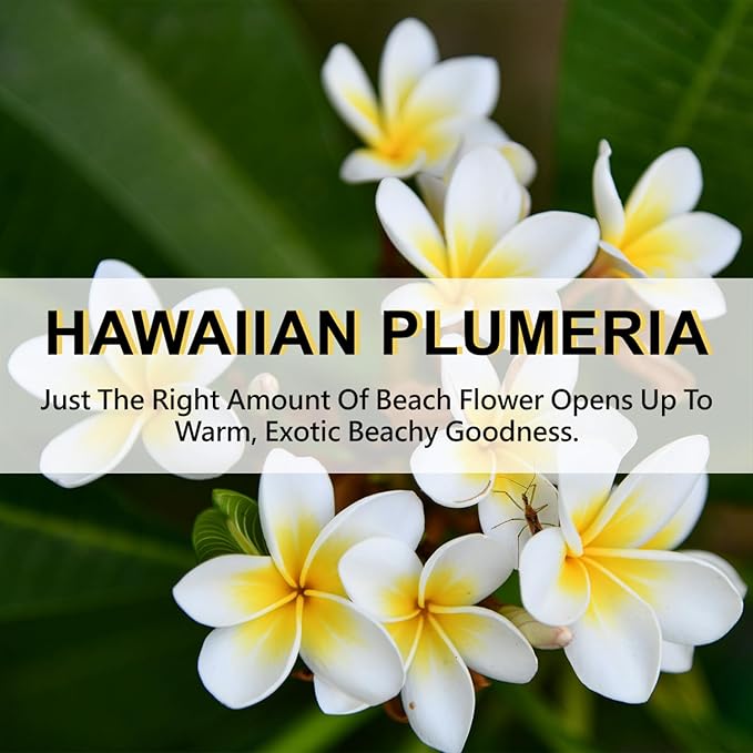 ROSE COTTAGE Large 12 Packs Hawaiian Plumeria Hanging Closet Air Freshener Scented Sachets Long Lasting Smell Goods - Image 6