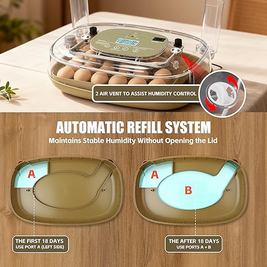 Incubators for Hatching Eggs, 24 Egg Incubator with Automatic Egg Turning and Humidity Control, Egg Candler, 360° Viewing, Chicken Incubators for Hatching Eggs, Quail Eggs, Duck Eggs Poultry - Image 5
