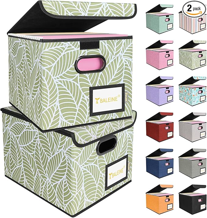 BALEINE File Organizer Box with Lid, Collapsible File Folder Organizer with Plastic Slide, Hanging File Folder Box for Office Document Storage (2 Pack, Antique Foliage) by BALEINE