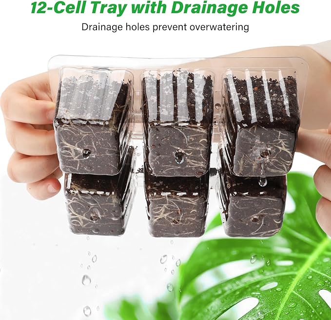 Bonviee 10 Packs Seed Starter Tray with Drainage Holes, Reusable & Durable, Clear for Root Monitoring, Easy to Repotted Without Root Damage, 6 Cells per Tray - Image 6