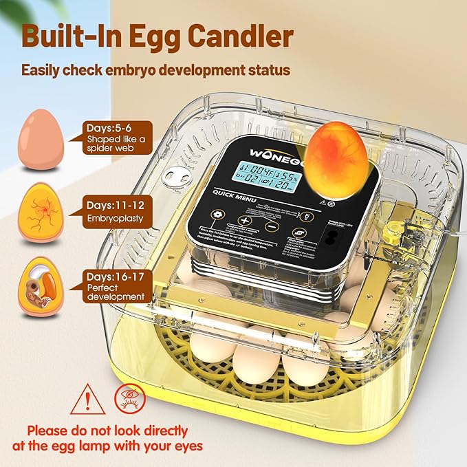 Incubator for Hatching Eggs, 12 Eggs Incubator with Automatic Egg Turning, Temperature & Humidity Control, LED Egg Candler, Incubation Days Display, for Chicken, Duck, Quail, Parrot Bird Eggs - Image 4