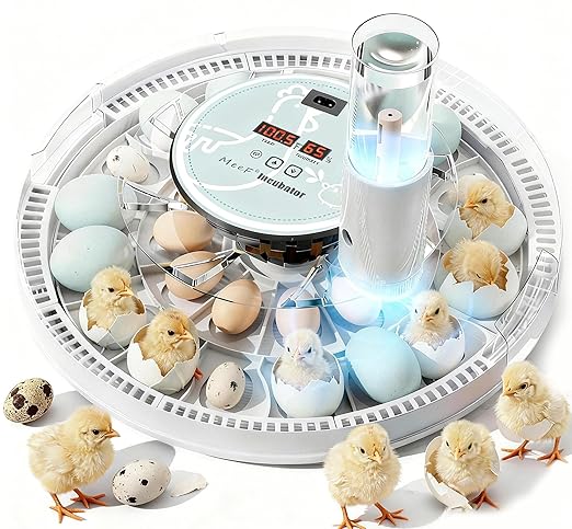 MeeF incubators for Hatching 28 Eggs,Independent atomizing humidifier, Auto Flip, Additional Equipped Well as Duck and Goose Egg Trays That can Hold 12 Eggs.(White) by MeeF