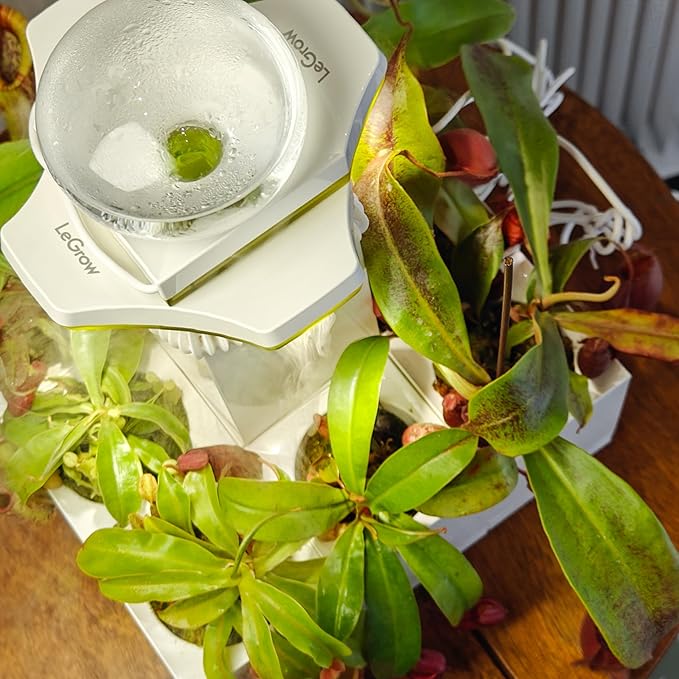LeGrow Nepenthes Terrarium System – Pitcher Plant Planter with LED Grow Light & Humidifier, Self-Watering Indoor Carnivorous Plants Setup – No Live Plant, Beginner Friendly - Image 5