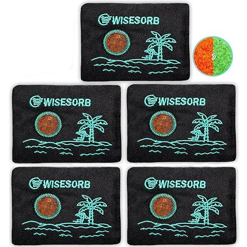 100g x 5pcs Rechargeable Desiccant Packs, Reusable Car Dehumidifier Bags Color Indicating Silica Gel Packets Moisture Absorbers for Storage Bins, Suitcase, Safe, 3D Filaments, Electronics by Wisesorb