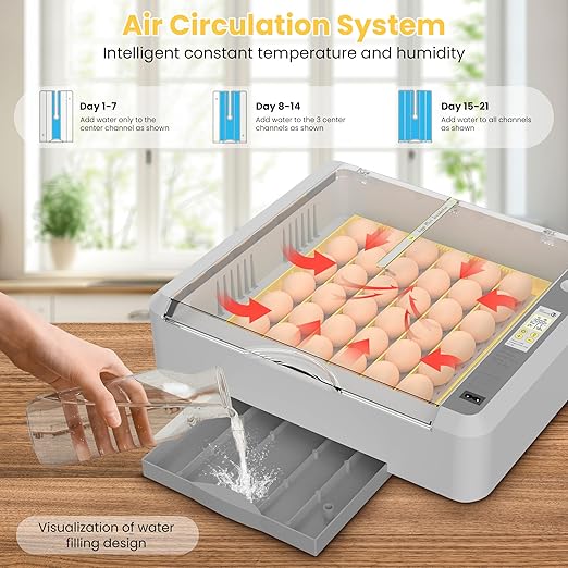 36-60 Egg Incubator with Automatic Egg Turning and Humidity Control, Adjustable Chicken Egg Incubator with Digital Display, for Hatching Eggs Include Chicken Duck Quail Eggs(Yellow) - Image 4