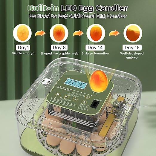 Incubators for Hatching Eggs 12 Egg Digital Egg Incubator Precision Auto Temp Humidity Control 6 Gear Adjustable Auto Turner Auto Stop Turning Hatching Days Display for Chicken Duck Goose Eggs - Image 4