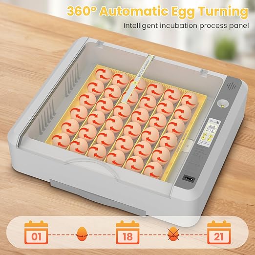 36-60 Egg Incubator with Automatic Egg Turning and Humidity Control, Adjustable Chicken Egg Incubator with Digital Display, for Hatching Eggs Include Chicken Duck Quail Eggs(Yellow) - Image 3