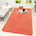 OLANLY Dog Door Mat for Muddy Paws 59x32, Absorbs Moisture and Dirt, Absorbent Non-Slip Washable Doormat, Quick Dry Chenille Mud Mat for Dogs, Entry Indoor Entryway Carpet for Inside Floor, Coral by OLANLY
