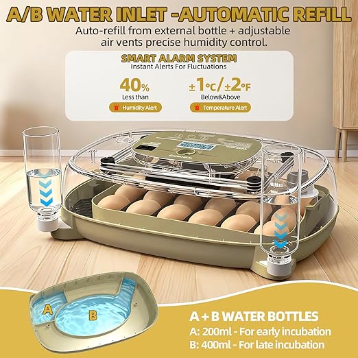 24 Incubators for Hatching Eggs, Egg Incubator with Humidity Control & Digital Temperature, Automatic Egg Turner, Hatch Day, Auto Water Refill, 360°Viewing for Chicken, Duck, Quail, Duck, Goose - Image 4